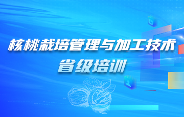 核桃栽培管理與加工技術省級培訓